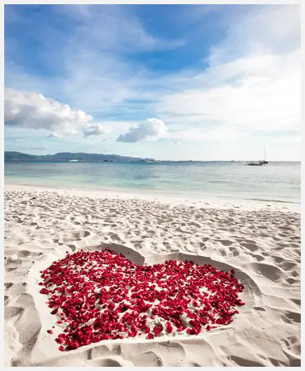 A heart made out of rose petals on the beach.