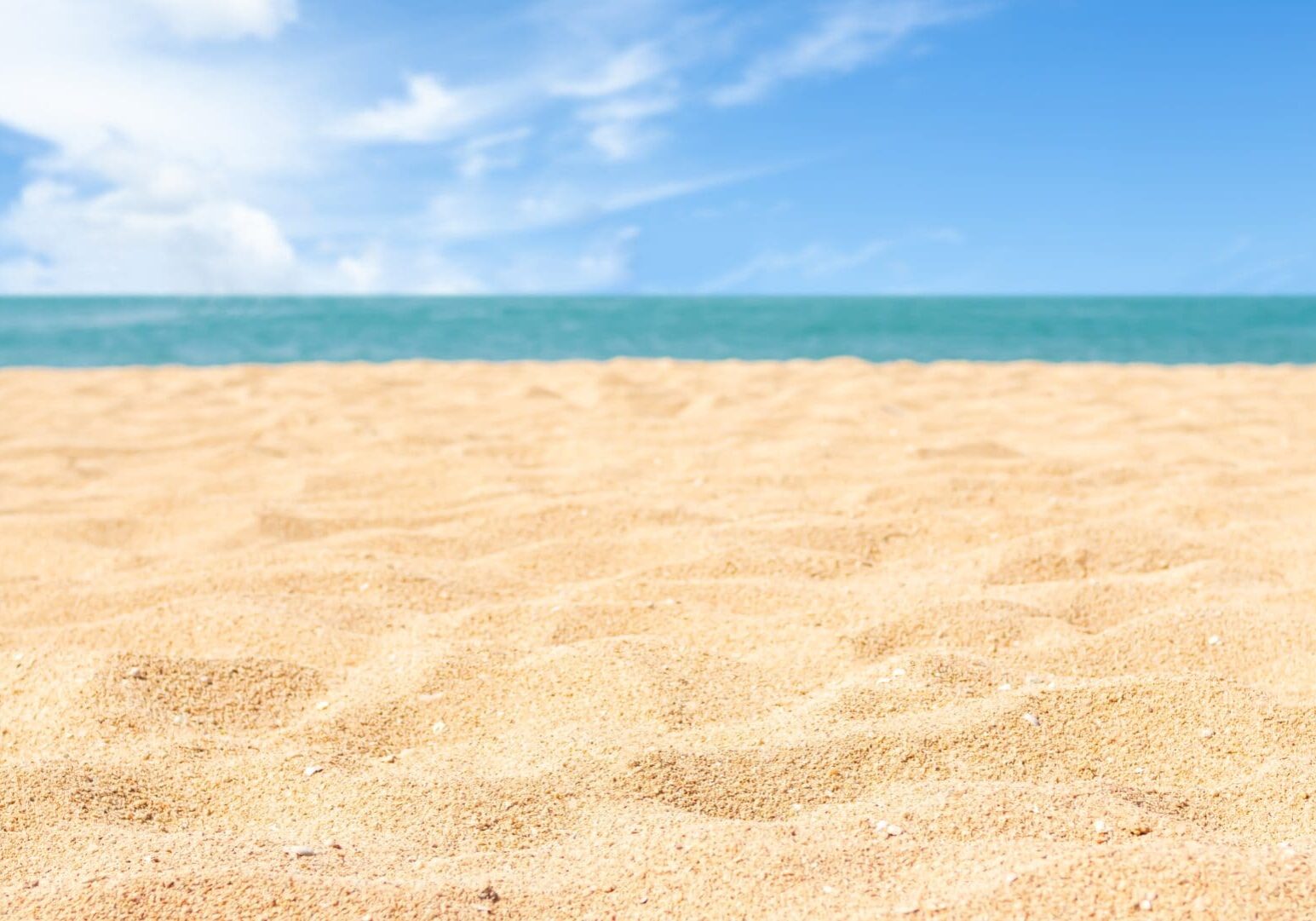 A sandy beach with the ocean in the background.